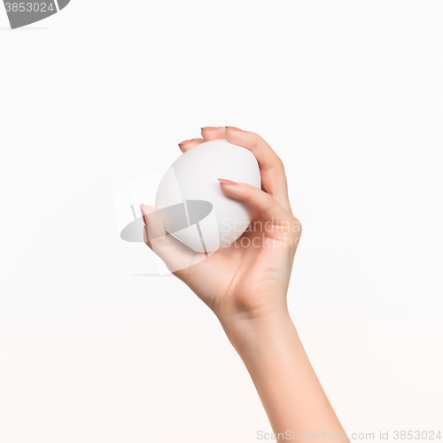 Image of The female hand holding white blank styrofoam oval 