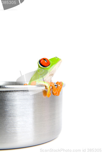 Image of frog on cooking pot isolated