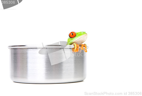 Image of frog on cooking pot