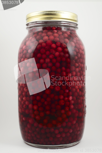 Image of jar with soaked cranberries