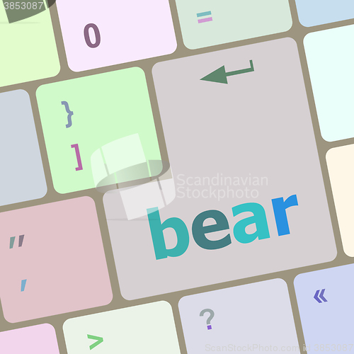 Image of bear word on keyboard key, notebook computer button vector illustration