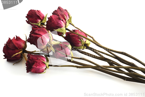 Image of bouquet of withered roses against a white background