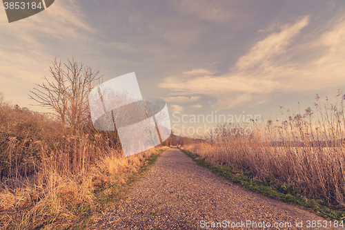 Image of Nature trail with naked trees