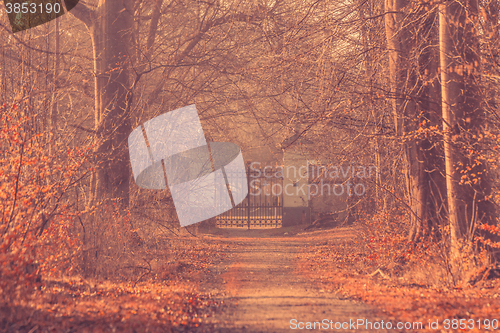 Image of Large gate in a misty forest