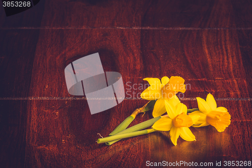 Image of Yellow daffodils on dark wood