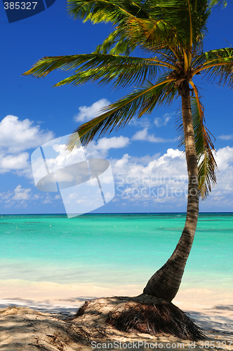 Image of Beach of a tropical island