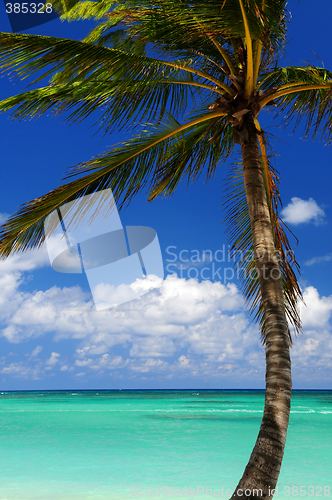 Image of Scenic view on Caribbean sea
