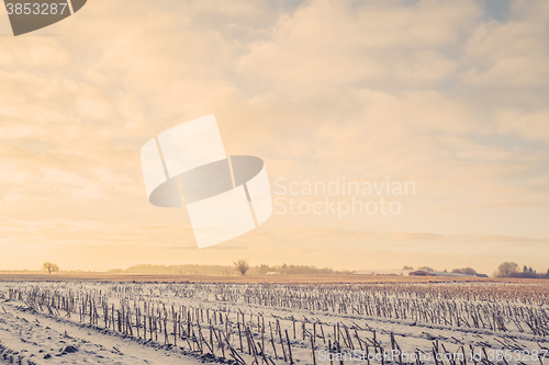 Image of Countryside landscape in the wintertime