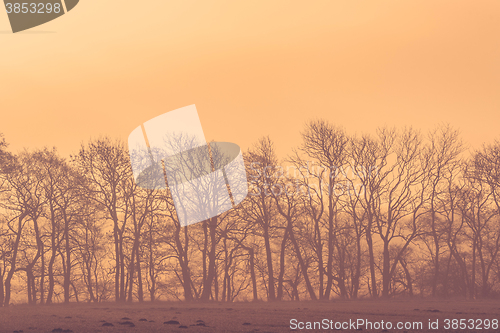 Image of Sunrise at a field with trees