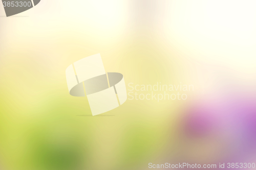 Image of Blurry easter background in bright light