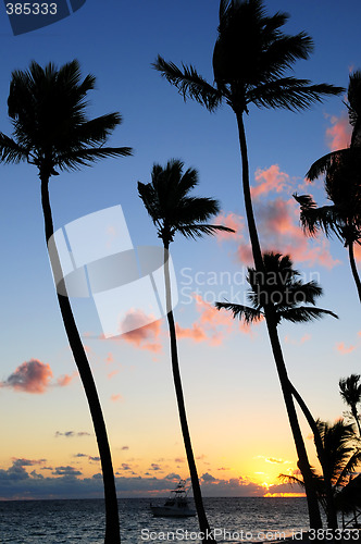 Image of Tropical sunrise