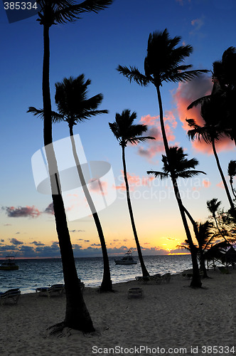 Image of Tropical sunrise