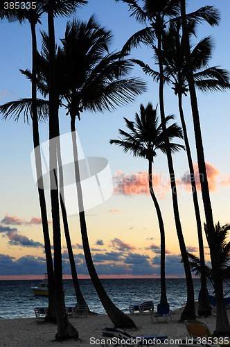Image of Tropical sunrise