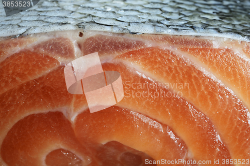Image of salmon closeup fresh fillets