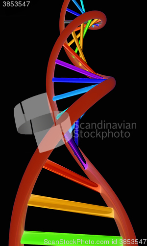 Image of DNA structure model