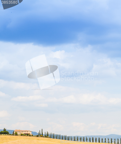 Image of Countryside in Tuscany