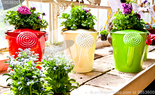 Image of Garden - Watering can