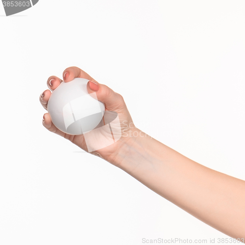 Image of The female hand holding white blank styrofoam oval 