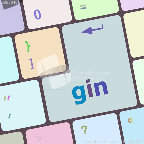 Image of gin word on keyboard key, notebook computer button vector illustration
