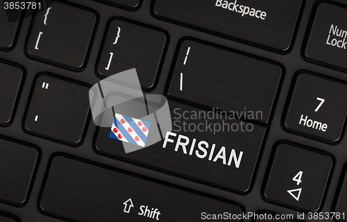 Image of Enter button with flag Friesland - Concept of language