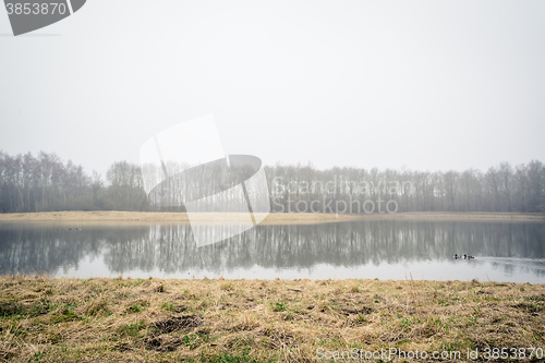 Image of Misty lake with tree reflections