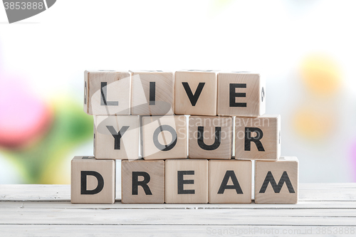 Image of Living your dream words on a table