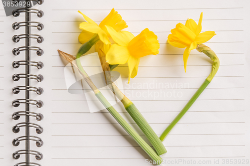 Image of Heart of daffodils on paper