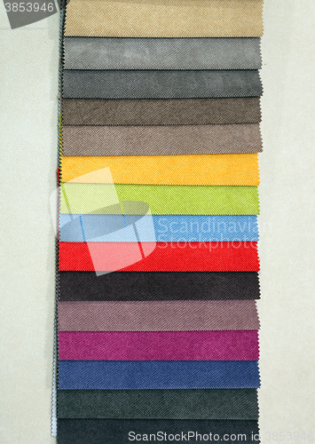 Image of Color Swatch