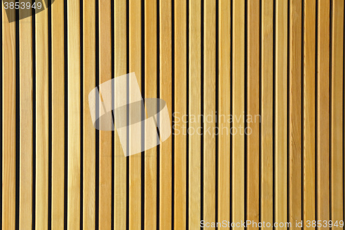 Image of Wood Texture