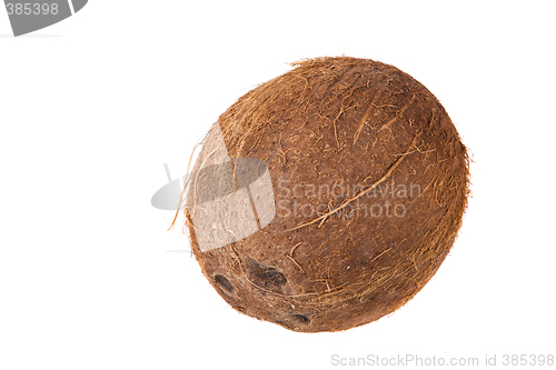 Image of Coconut seed