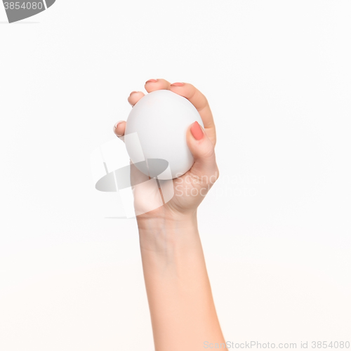 Image of The female hand holding white blank styrofoam oval 