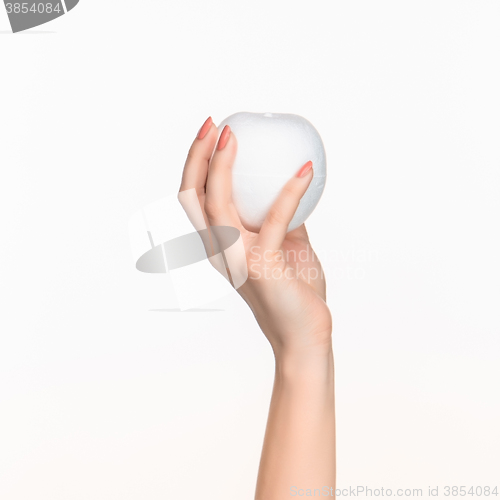 Image of The female hand holding white blank styrofoam oval 