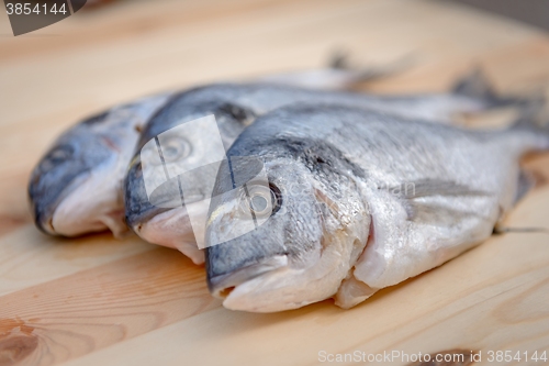 Image of Cooking fish on the grill