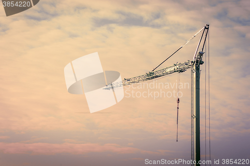 Image of Crane in the sunrise