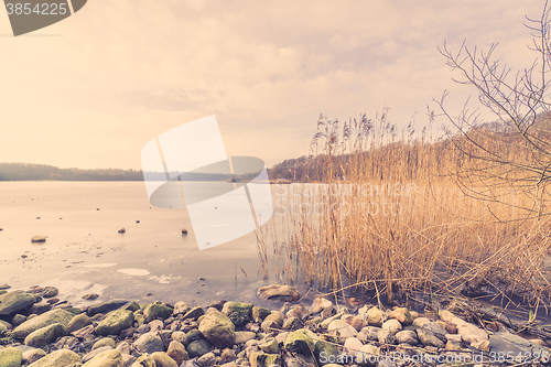 Image of Pebbles and reeds by a frozen lake