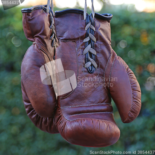 Image of Vintage Boxing Gloves