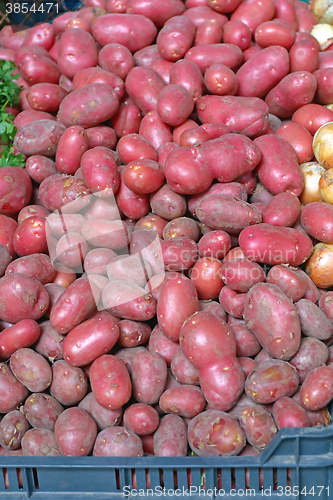 Image of Red Potato