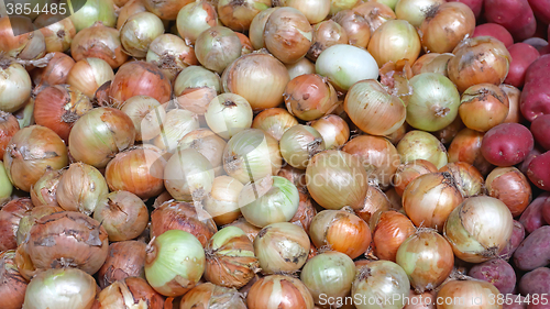 Image of Onions