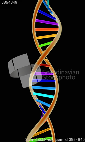 Image of DNA structure model