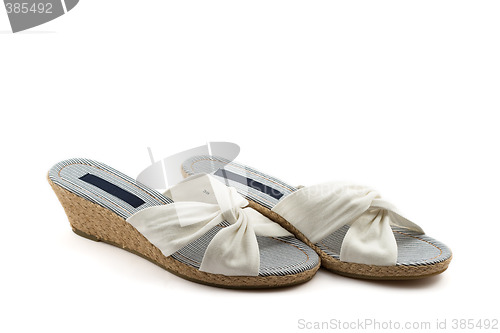 Image of fashion shoes
