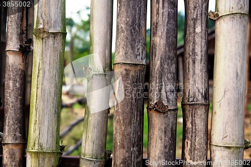 Image of old bamboo sticks