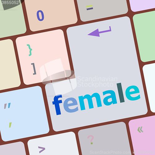 Image of female word on keyboard key, notebook computer button vector illustration