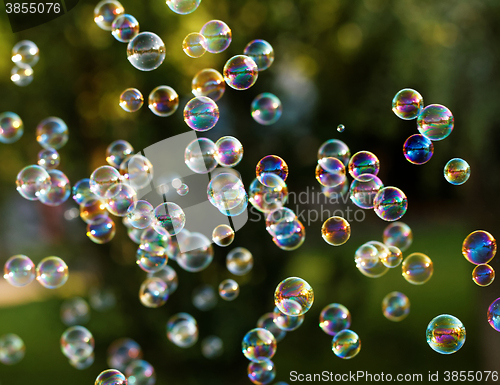 Image of Soap bubbles