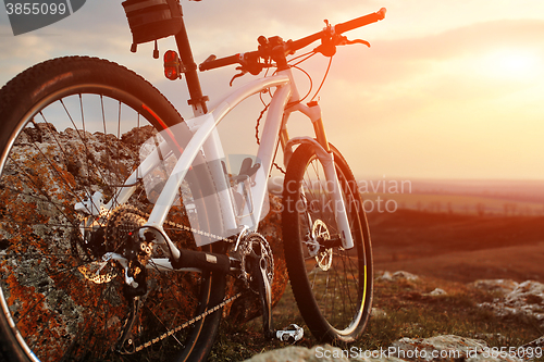 Image of Bicycle stands on a rock