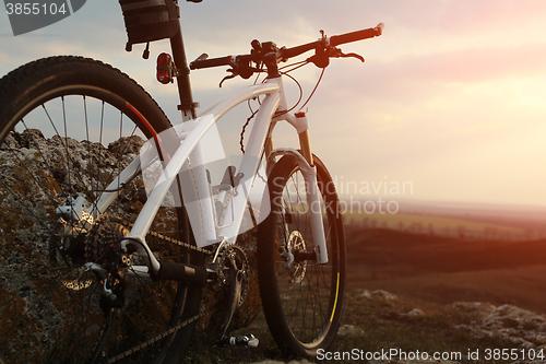 Image of Bicycle stands on a rock