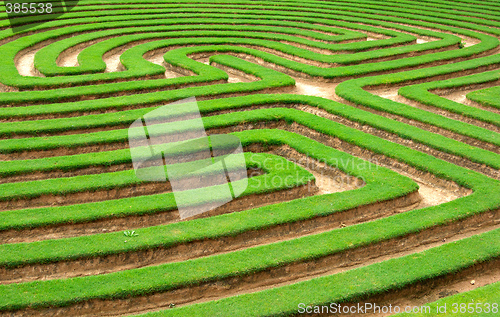 Image of grass maze