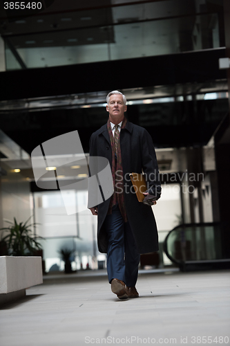 Image of handsome senior business man walking