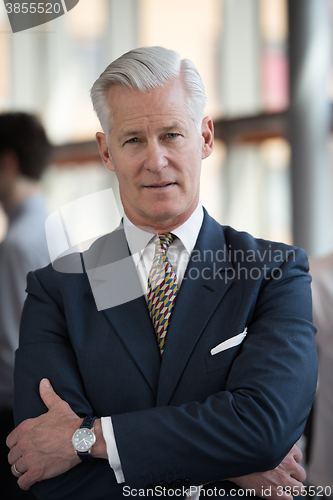 Image of portrait of handsome senior business man at modern office
