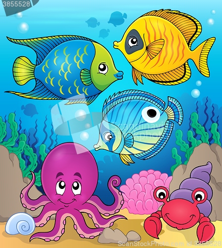 Image of Coral fauna theme image 2