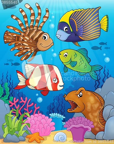 Image of Ocean fauna topic image 5